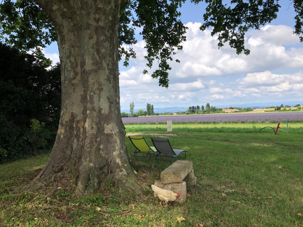 Les Vieilles Pierres Dromoises Villa Alixan Buitenkant foto